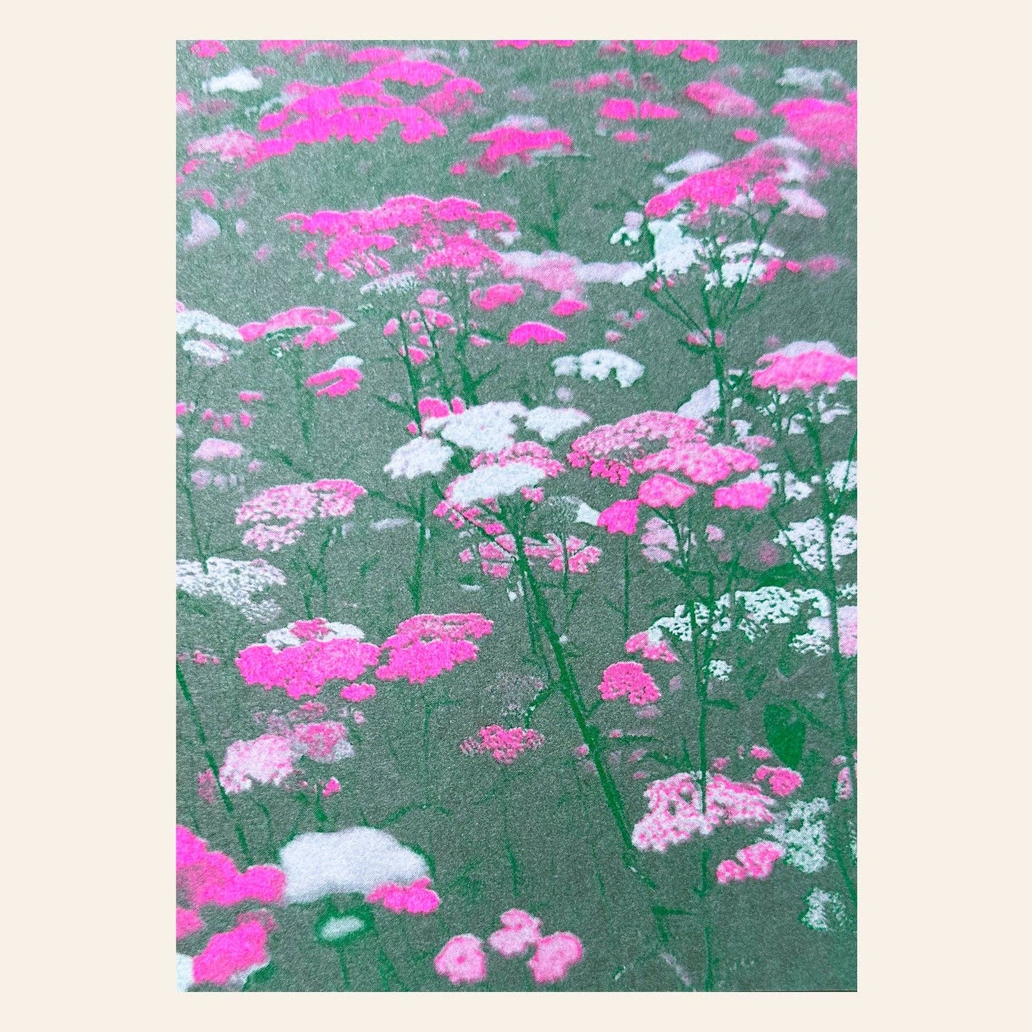 Flower Meadow Pink Postcard