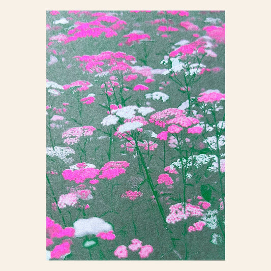 Flower Meadow Pink Postcard