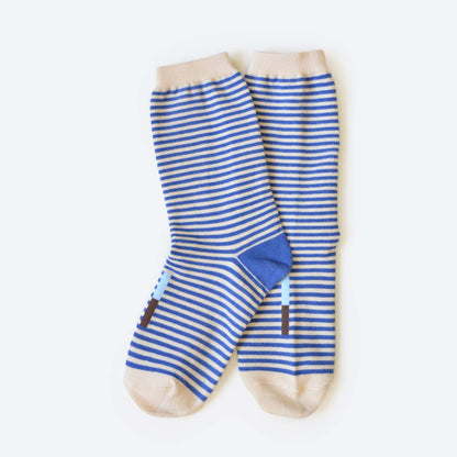 Blue Stripe Socks