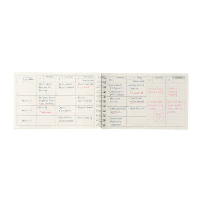 Dayfree Weekly Schedule: Neo Pink